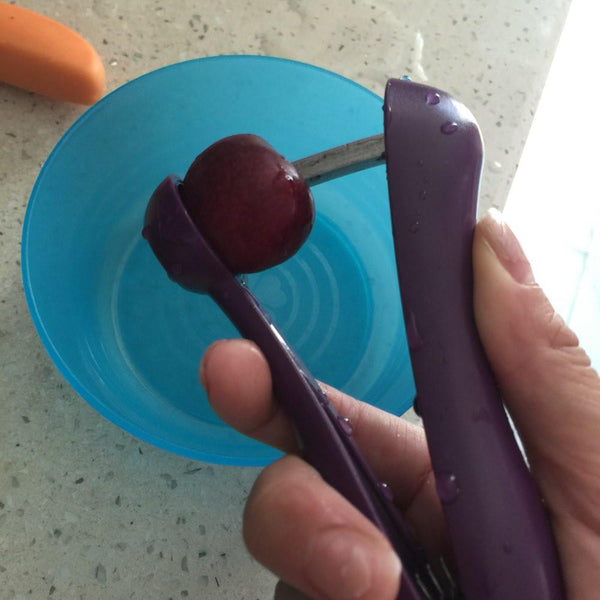 Cherry Pitter Seed Gadget