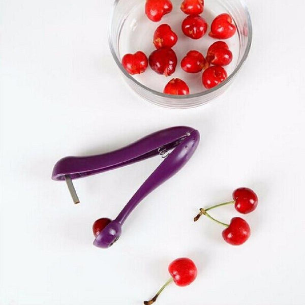 Cherry Pitter Seed Gadget